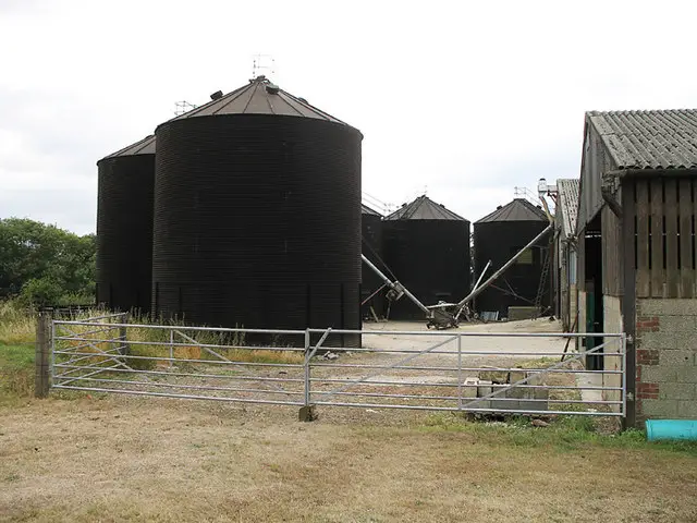 Silo's en voeropslag bij een agrarisch bedrijf