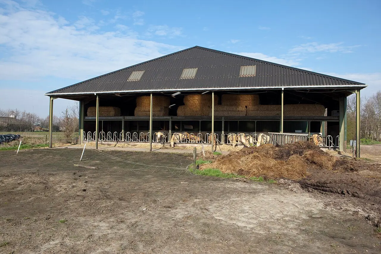 Biologische landbouw in Nederland