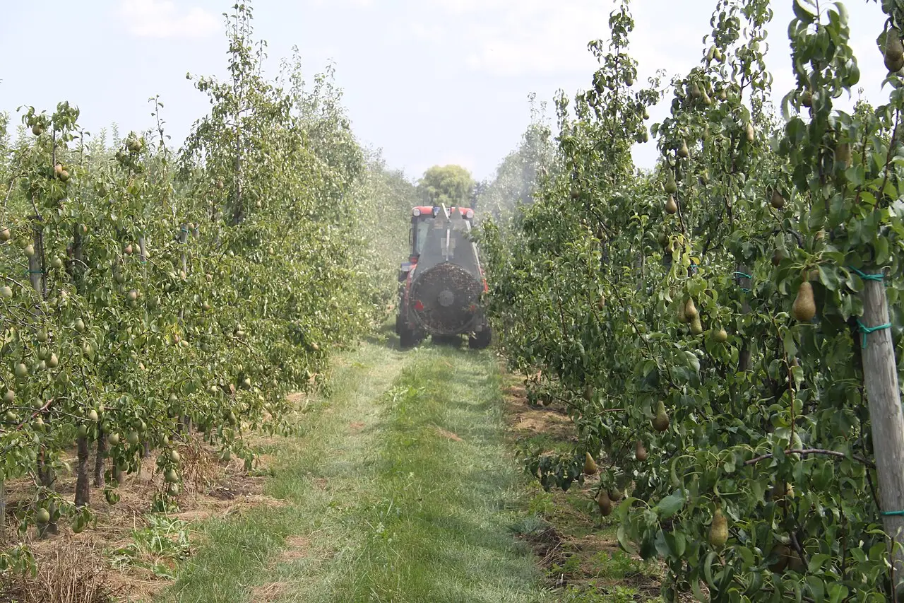 Boomgaard wordt bespoten met een tractor en axiaalspuit