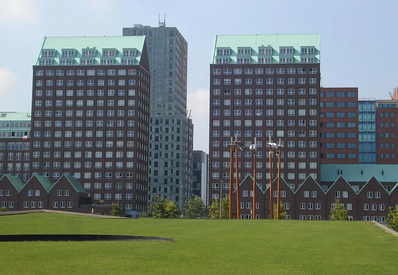 Groene daken op kantoorgebouwen in Rotterdam