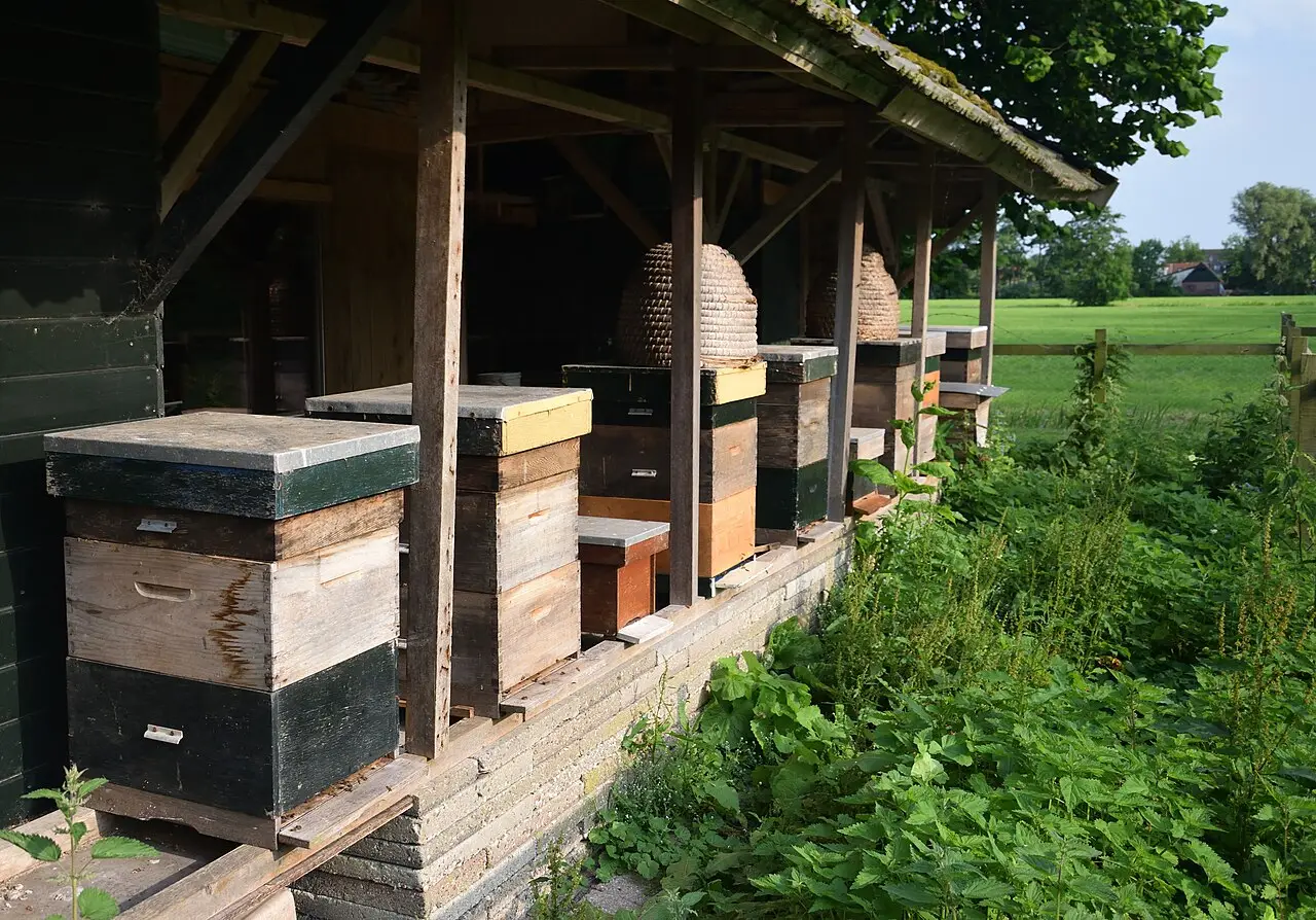 Houten bijenkast op een erf