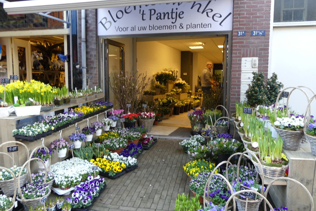 Bloemenwinkel met planten en boeketten in de winkel