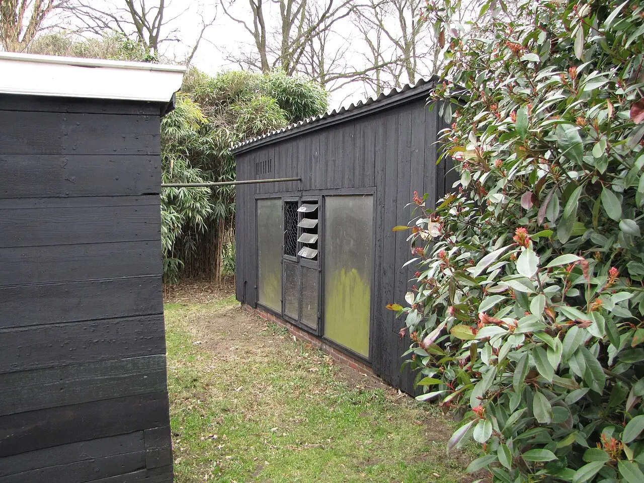 Houten kippenhok met ren in een tuin