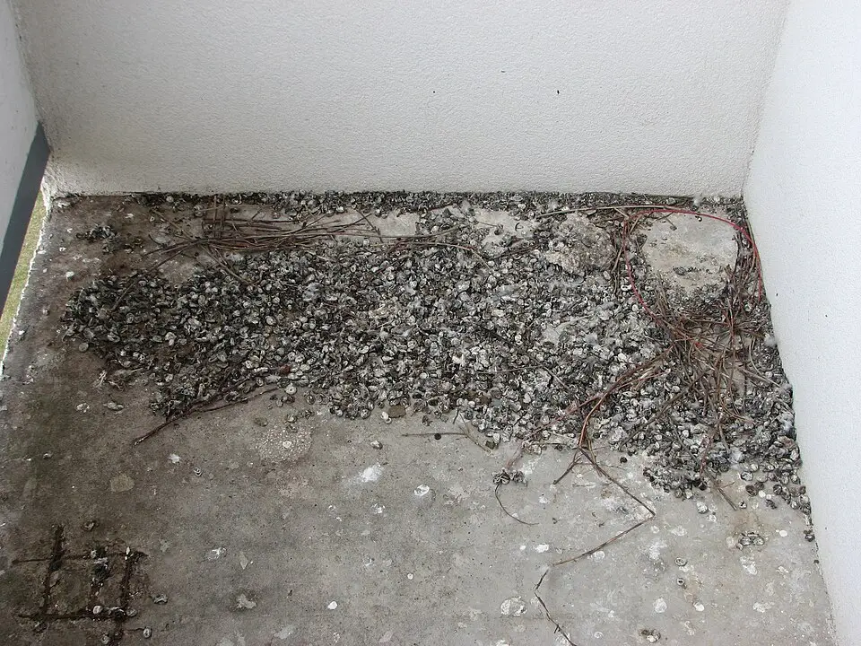 Duiven op een balkon van een appartementengebouw