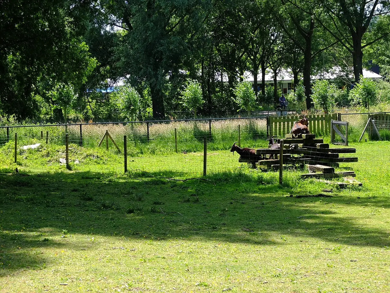 Kinderboerderij met dieren en bezoekers